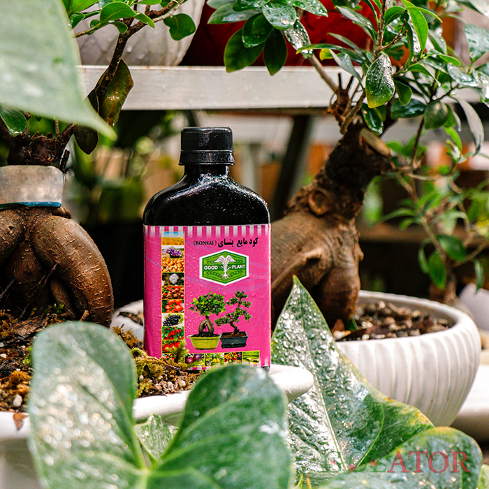 کود مایع بنسای گود پلنت 