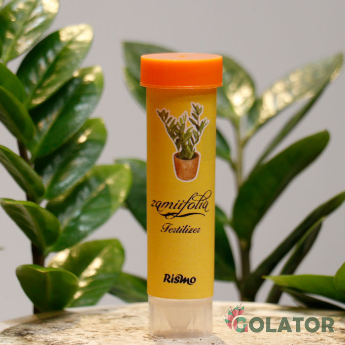 کود مخصوص زامیفولیا ریسمو