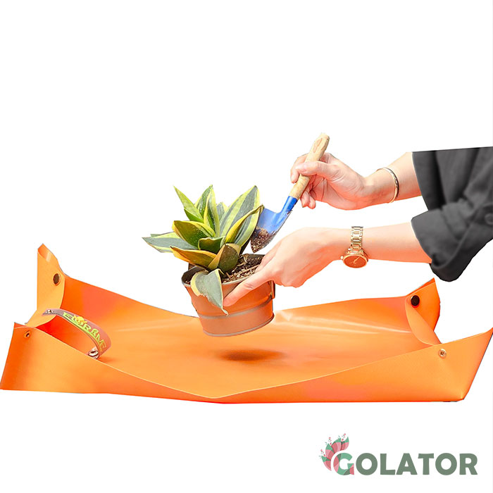 پد تعویض خاک گلدان فلورمی 