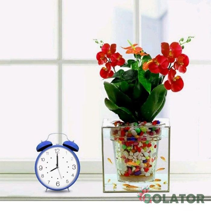 گلدان اکواریومی 1009