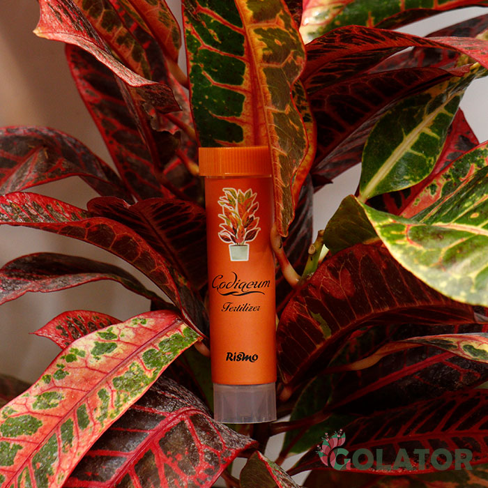 کود مخصوص کروتون ریسمو