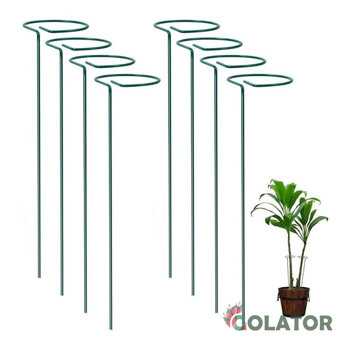 قیم نگهدارنده گیاه 3 عددی 