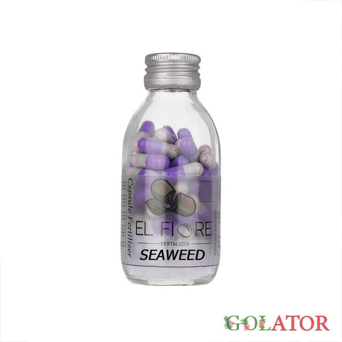 کود کپسولی  جلبک دریایی ال فیوره  