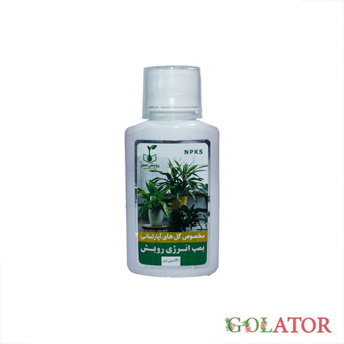 بمب انرژی روییش 1