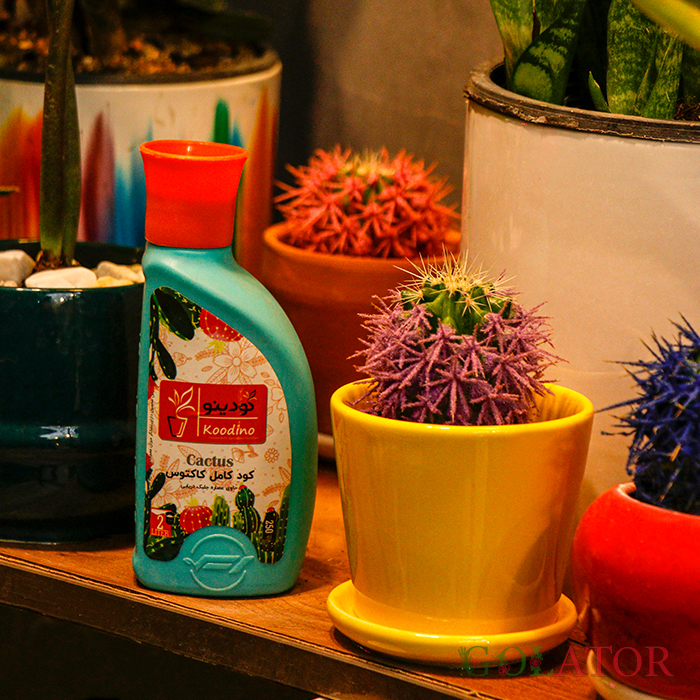 کود کامل کاکتوس کودینو 