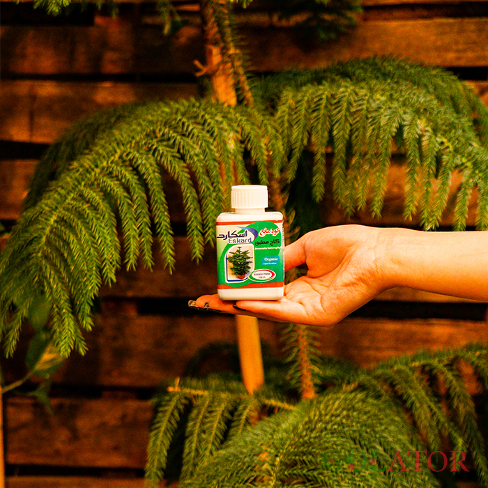 کود مایع کاج مطبق اسکارد 