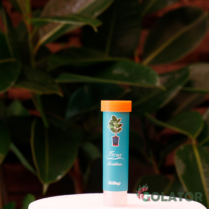 کود مخصوص فیکوس  ریسمو