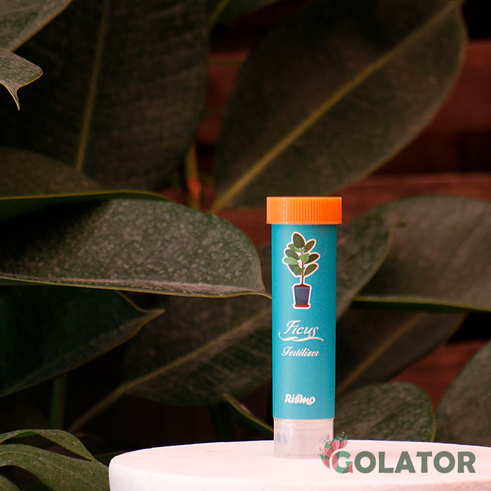 کود مخصوص فیکوس  ریسمو