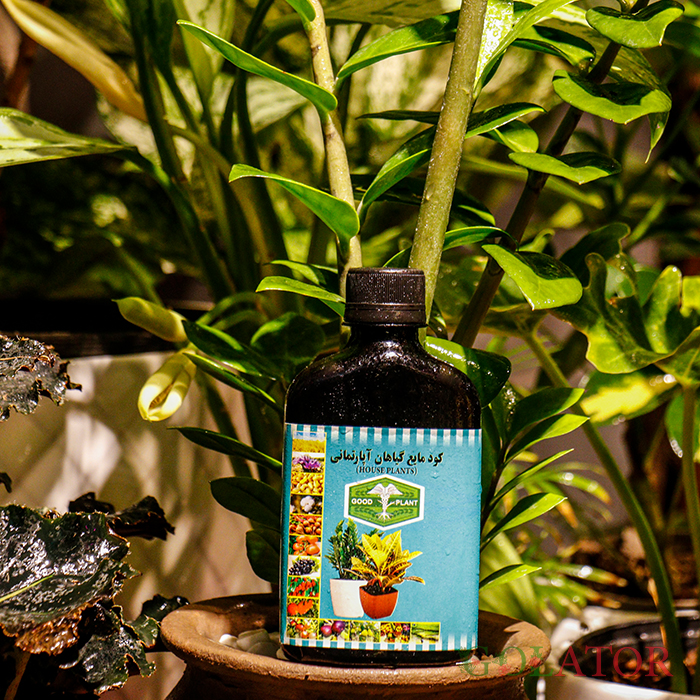 کود مایع گیاهان آپارتمانی 