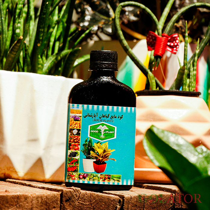 کود مایع گیاهان آپارتمانی 