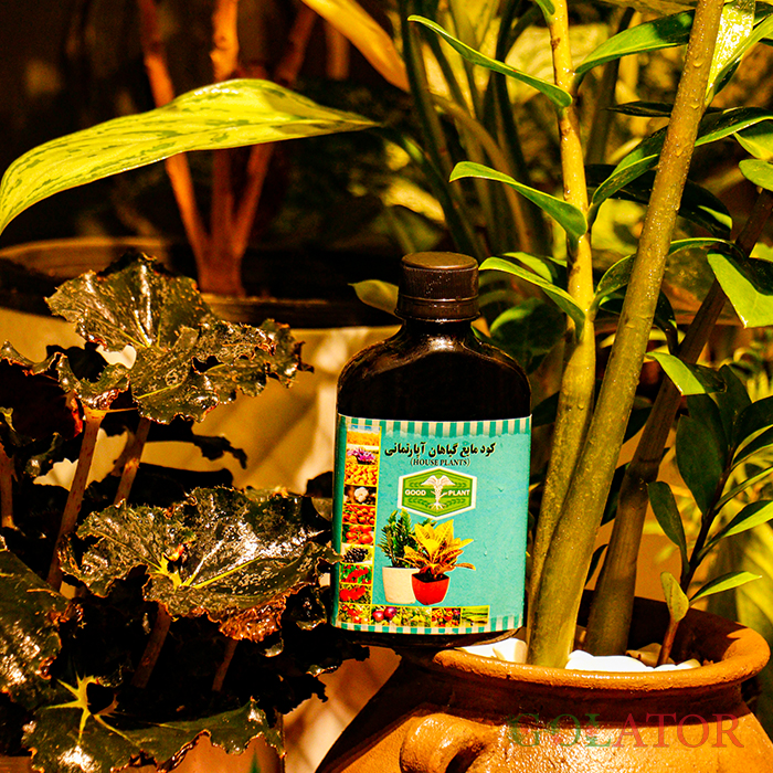 کود مایع گیاهان آپارتمانی 