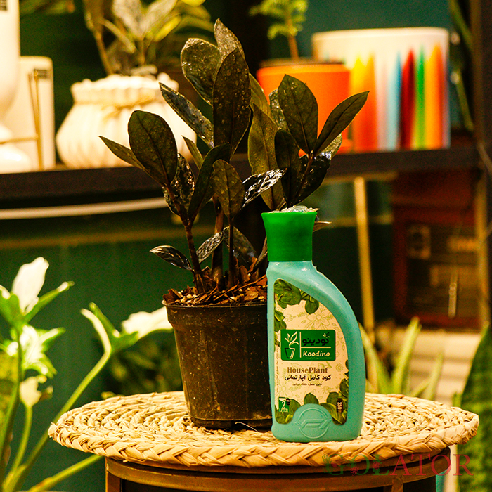 کود کامل گیاهان آپارتمانی کودینو 