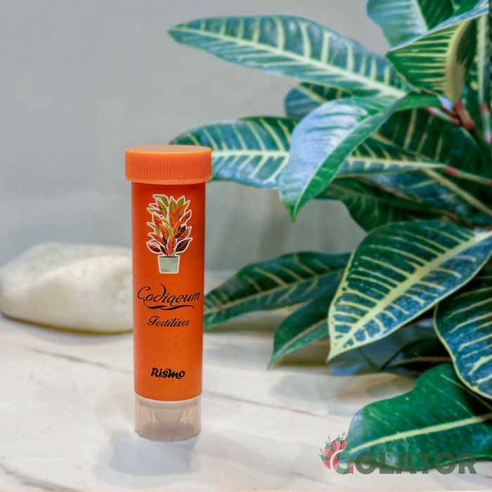 کود مخصوص کروتون ریسمو