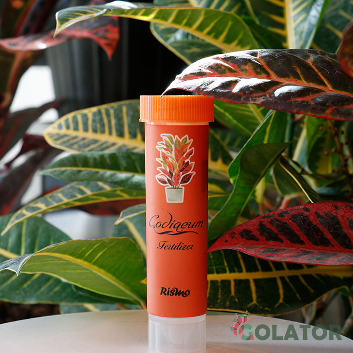 کود مخصوص کروتون ریسمو