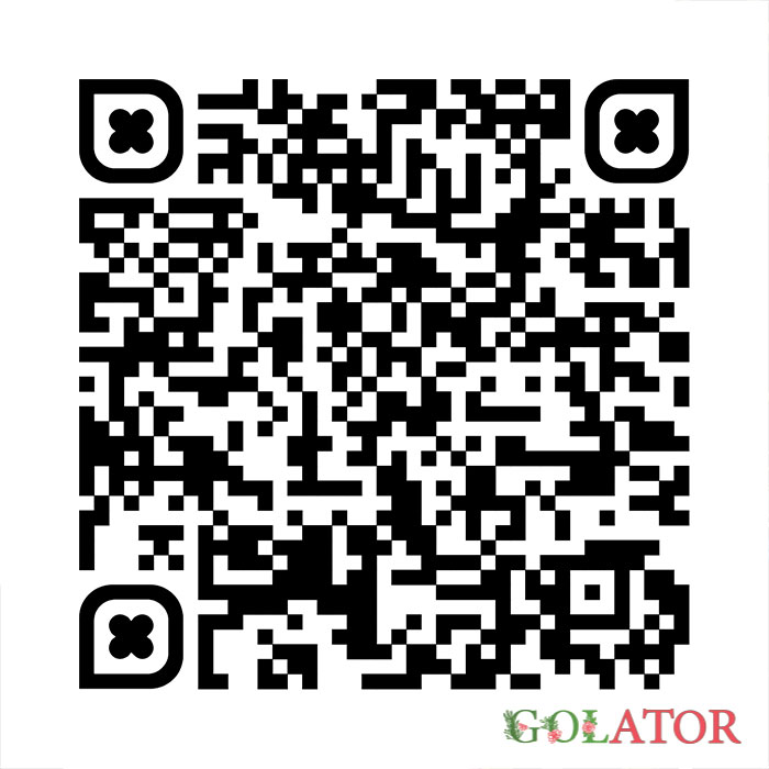 فیکوس چرمی (آلاستیکا )