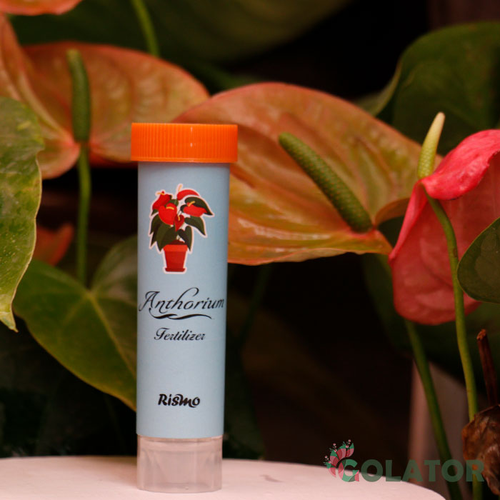 کود مخصوص آنتوریوم  ریسمو