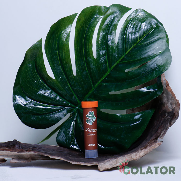 کود مخصوص مونسترا ( برگ انجیری )  ریسمو