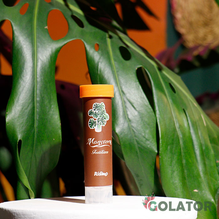 کود مخصوص مونسترا ( برگ انجیری )  ریسمو