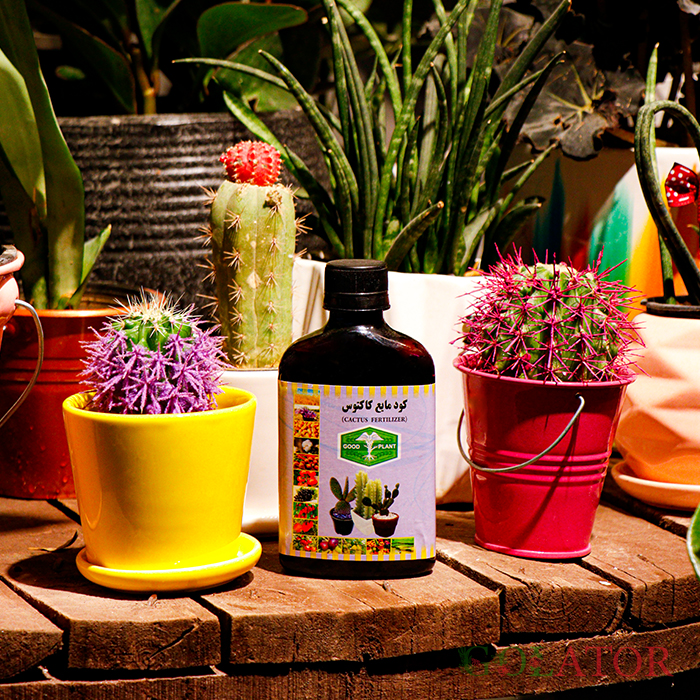 کود مایع کاکتوس گود پلنت 