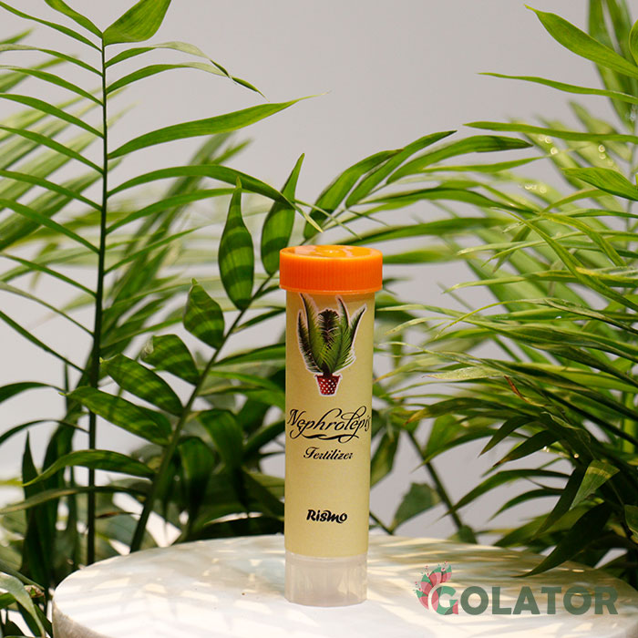 کود مخصوص سرخس ریسمو