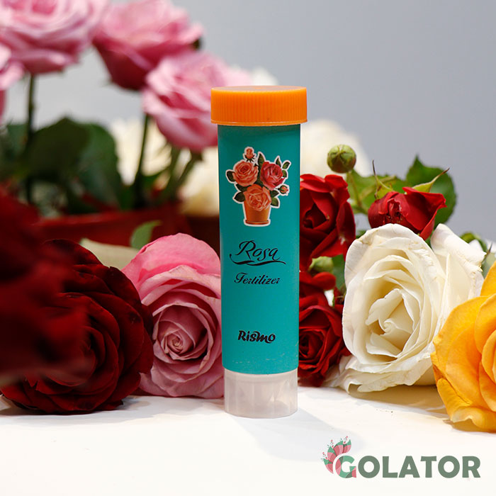 کود قرصی  رز ریسمو