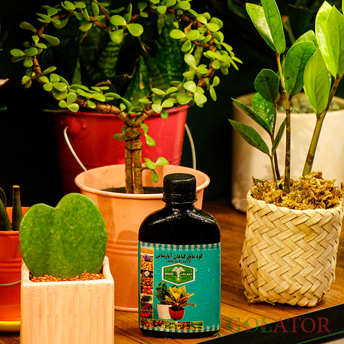 کود مایع گیاهان آپارتمانی 