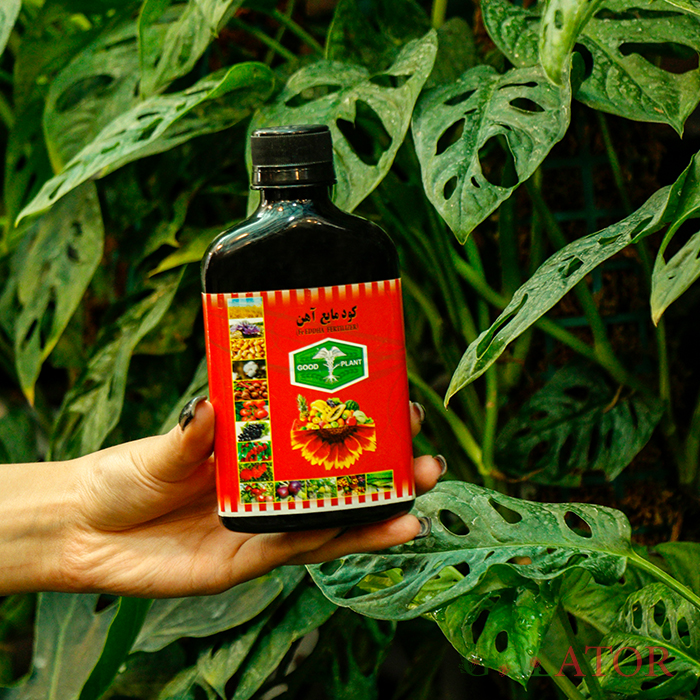 کود مایع آهن گود پلنت 