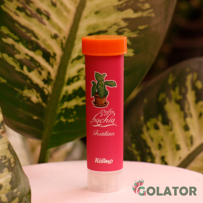 کود مخصوص دیفن باخیا ریسمو