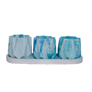 گلدان بتنی کاکتوس (3 عدد)