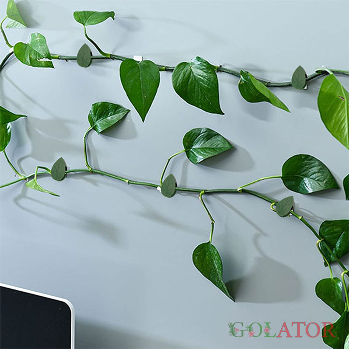 گیره گل و گیاهان رونده بسته 10 عددی 