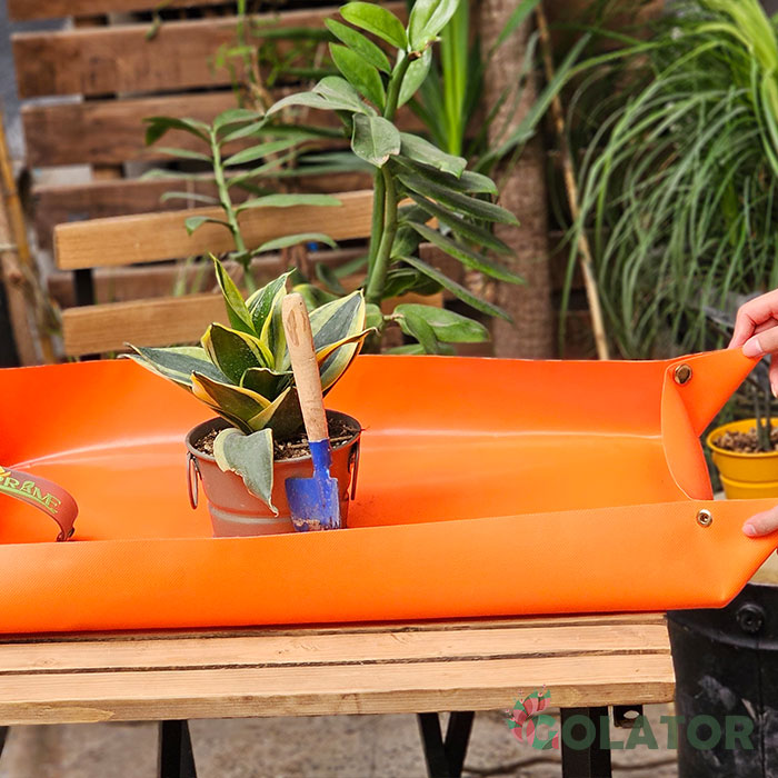 پد تعویض خاک گلدان فلورمی 