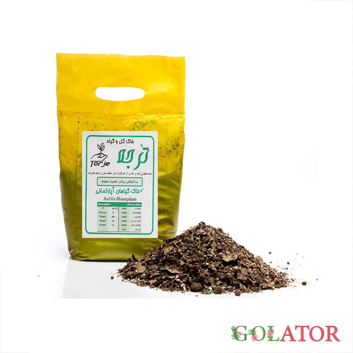 خاک تخصصی کاکتوس و ساکولنت ترجه 