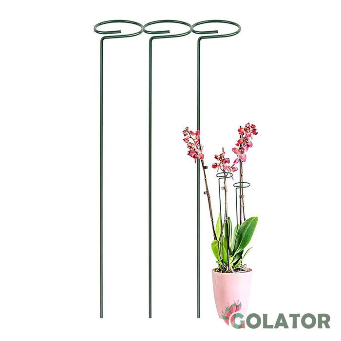 قیم نگهدارنده گیاه 3 عددی 