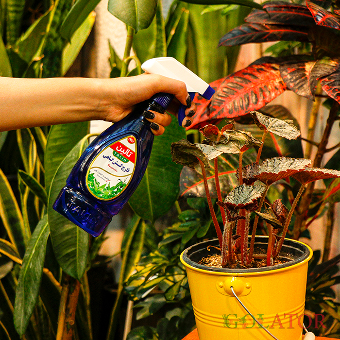 قارچ کش گیاهی تالین 