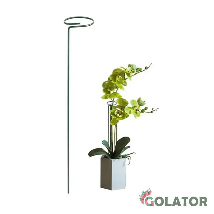 قیم نگهدارنده گیاه 3 عددی 