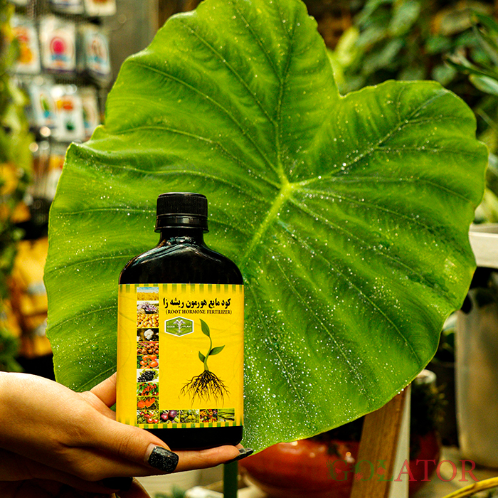 کود مایع هورمون ریشه زا گود پلنت 