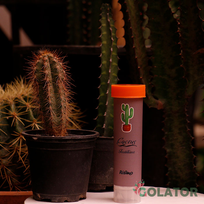 کود مخصوص کاکتوس ریسمو