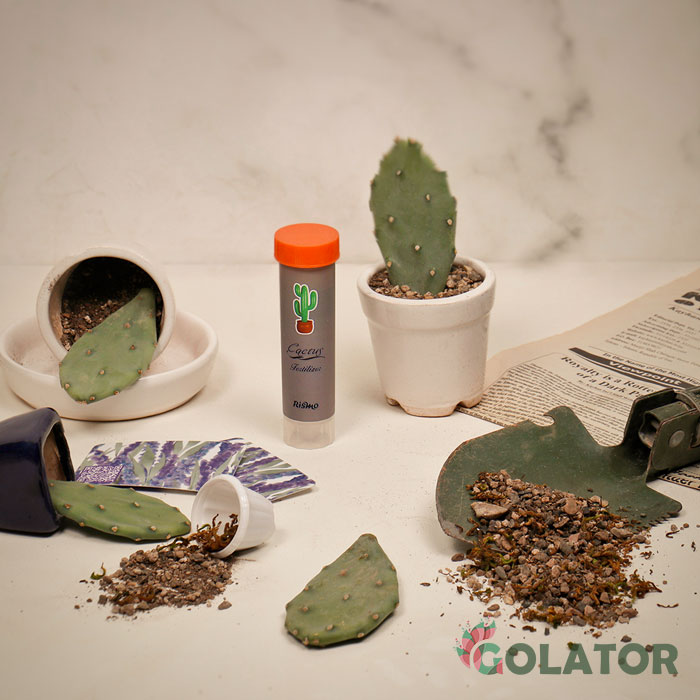 کود مخصوص کاکتوس ریسمو