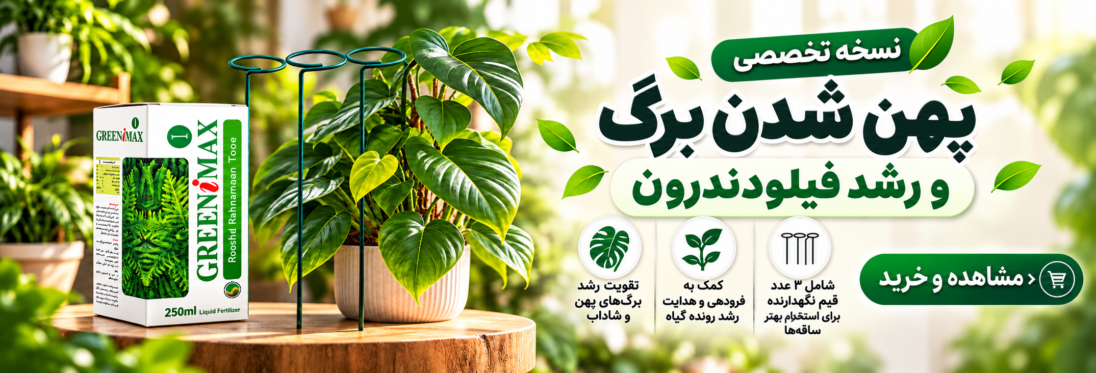 نسخه تخصصی پهن شدن برگ و رشد فیلودندرون
