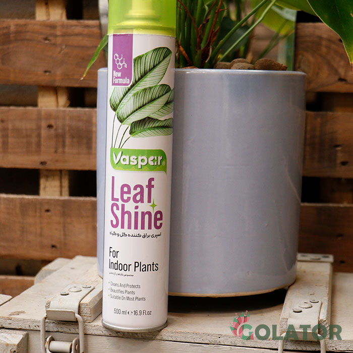 اسپری براق کننده گل و گیاه وسپار