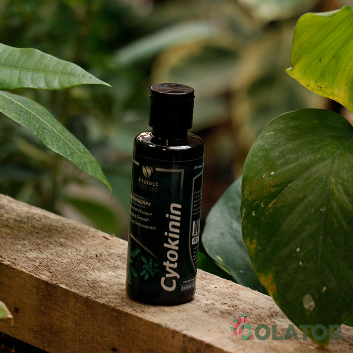 سیتوکینین پروتکت نیچر