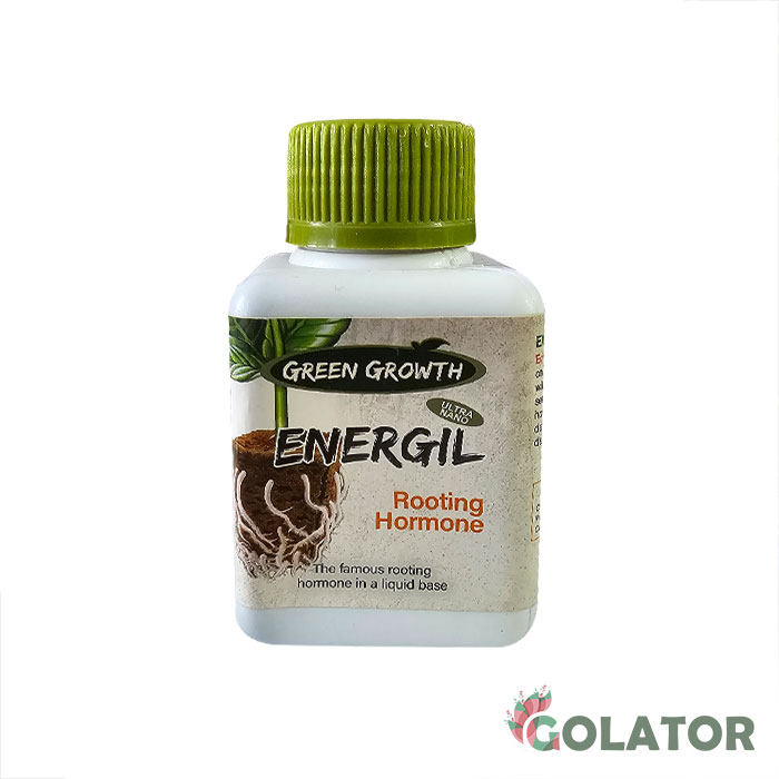 هورمون رشد ریشه  گرین گروت