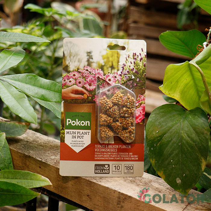 کود آهسته رهش گل گیاهان آپارتمانی پوکون 