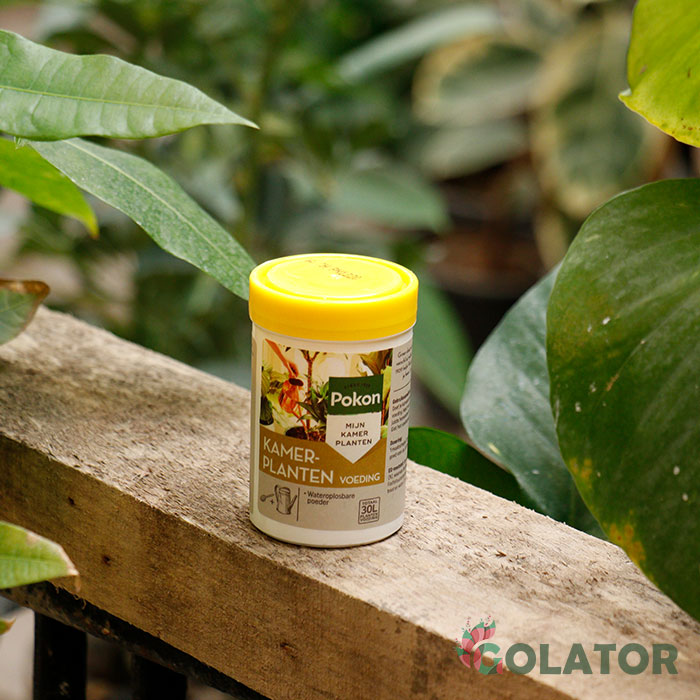 پودر تقویتی گیاهان آپارتمانی پوکون