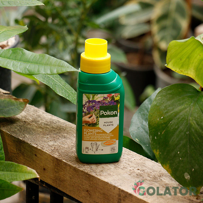 کود گل و گیاهان آپارتمانی پوکون