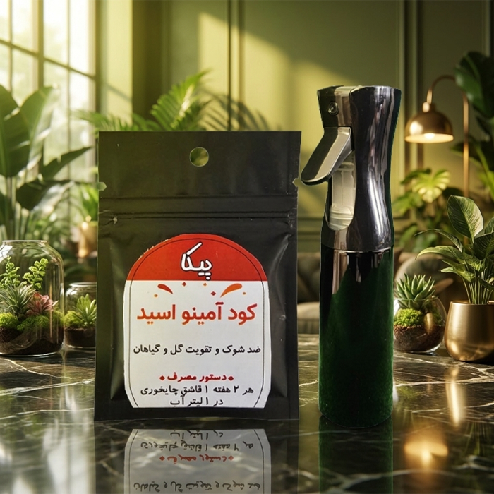 نسخه درمان پژمردگی، خشکی و ریزش کاج مطبق