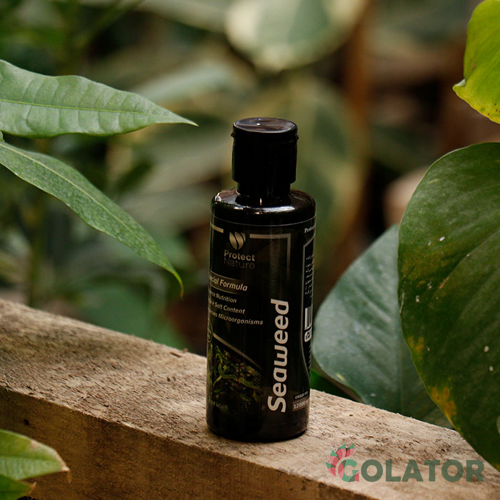 جلبک دریایی پروتکت نیچر